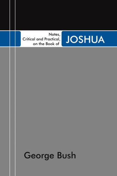 Notes, Critical and Practical, on the Book of Joshua
