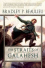 Alternative view 2 of The Straits of Galahesh (Lays of Anuskaya Series #2)