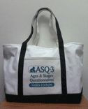 Title: Asq-3 Materials Kit Tote Bag, Author: Jane Squires