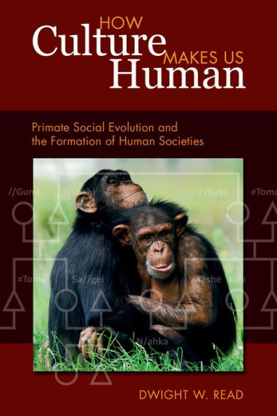 How Culture Makes Us Human: Primate Social Evolution and the Formation of Human Societies / Edition 1