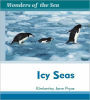 Icy Seas