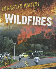 Title: Wildfires, Author: Paul Mason