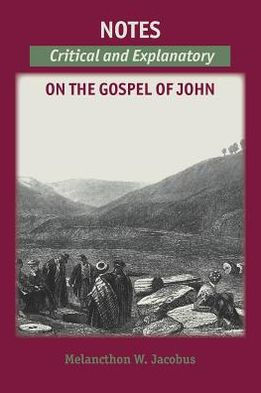 Notes on the Gospels: Critical and Explanatory on John