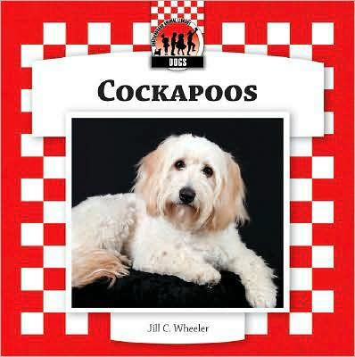 Cockapoos