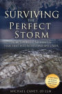 Alternative view 2 of Surviving The Perfect Storm: How To Create A Financial Plan That will Withstand Any Crisis