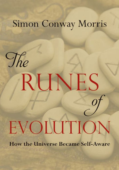 The Runes of Evolution: How the Universe became Self-Aware