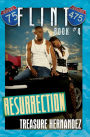 Flint; Book 4: Resurrection