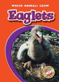 Title: Eaglets, Author: Anne Wendorff