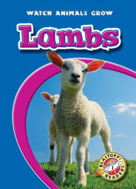 Title: Lambs, Author: Anne Wendorff