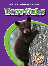 Title: Bear Cubs, Author: Anne Wendorff