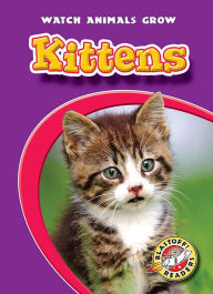 Title: Kittens, Author: Colleen Sexton