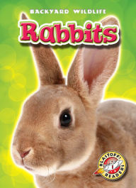 Title: Rabbits, Author: Derek Zobel