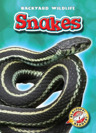 Title: Snakes, Author: Emily Green