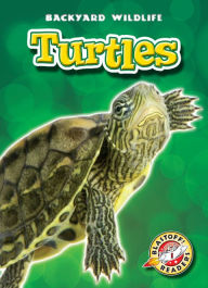 Title: Turtles, Author: Emily Green