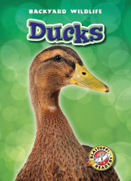 Title: Ducks, Author: Derek Zobel