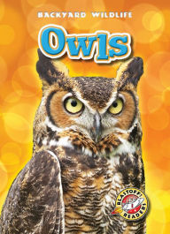 Title: Owls, Author: Kari Schuetz