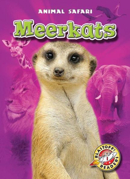 Meerkats