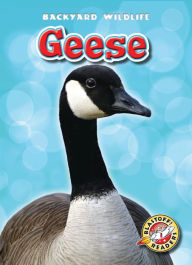 Title: Geese, Author: Megan Borgert-Spaniol