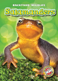 Title: Salamanders, Author: Megan Borgert-Spaniol