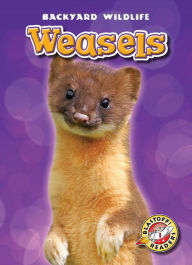 Title: Weasels, Author: Megan Borgert-Spaniol