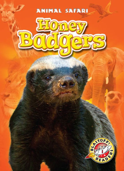 Honey Badgers