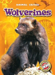 Title: Wolverines, Author: Megan Borgert-Spaniol