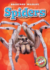 Title: Spiders, Author: Megan Borgert-Spaniol