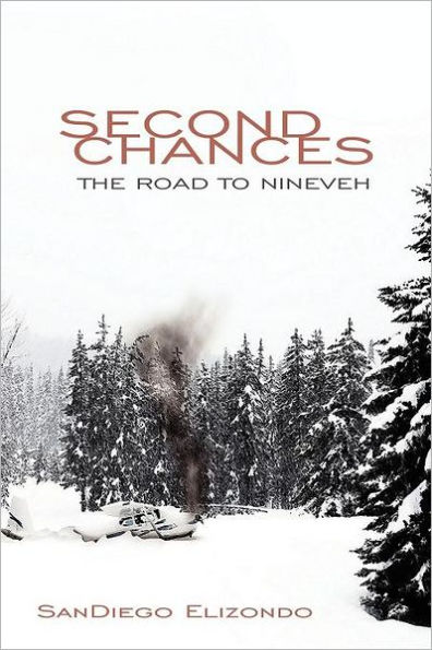 Second Chances: The Road to Nineveh