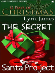Title: The Secret Santa Project, Author: Lyric James