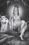 Alternative view 4 of Gita Wisdom: An Introduction to India's Essential Yoga Text