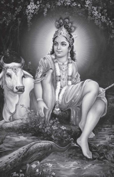 Gita Wisdom: An Introduction to India's Essential Yoga Text