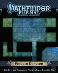 Title: Pathfinder Flip-Mat: Flooded Dungeon