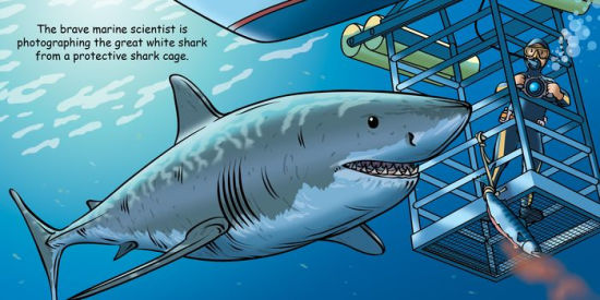 Good Night Sharks by Adam Gamble, Mark Jasper, Cooper Kelly, Board Book ...