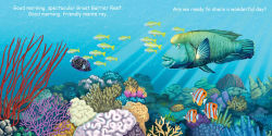 Alternative view 2 of Good Night Great Barrier Reef