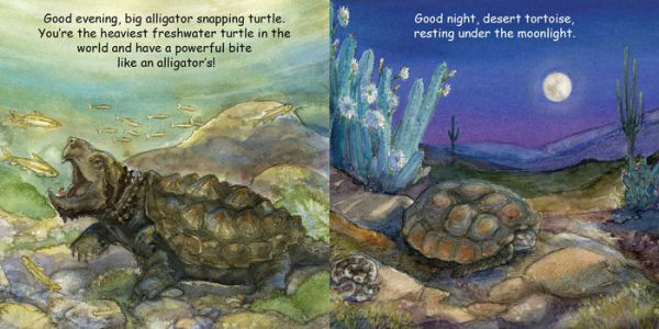 Good Night Turtles