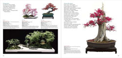 Alternative view 5 of Penjing: The Chinese Art of Bonsai: A Pictorial Exploration of Its History, Aesthetics, Styles and Preservation