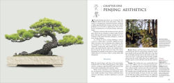 Alternative view 7 of Penjing: The Chinese Art of Bonsai: A Pictorial Exploration of Its History, Aesthetics, Styles and Preservation