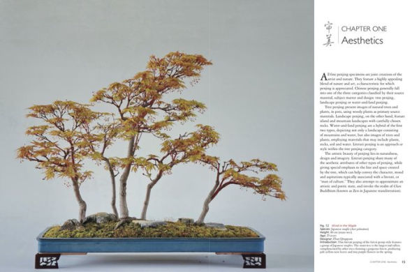 Literati Style Penjing: Chinese Bonsai Masterworks