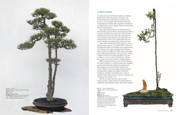 Literati Style Penjing: Chinese Bonsai Masterworks