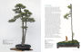 Alternative view 3 of Literati Style Penjing: Chinese Bonsai Masterworks