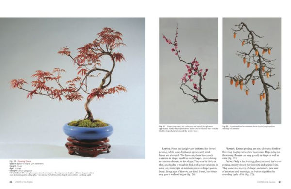 Literati Style Penjing: Chinese Bonsai Masterworks