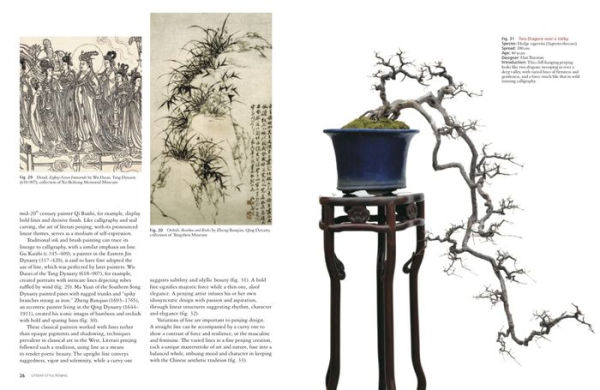 Literati Style Penjing: Chinese Bonsai Masterworks