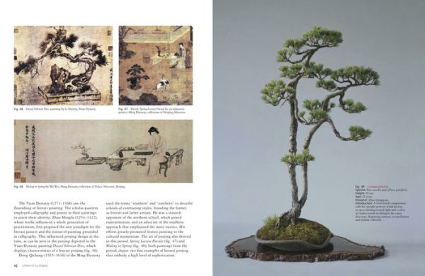 Literati Style Penjing: Chinese Bonsai Masterworks