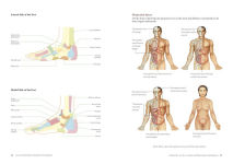 Alternative view 3 of Gua Sha Scraping Massage Techniques: A Natural Way of Prevention and Treatment through Traditional Chinese Medicine