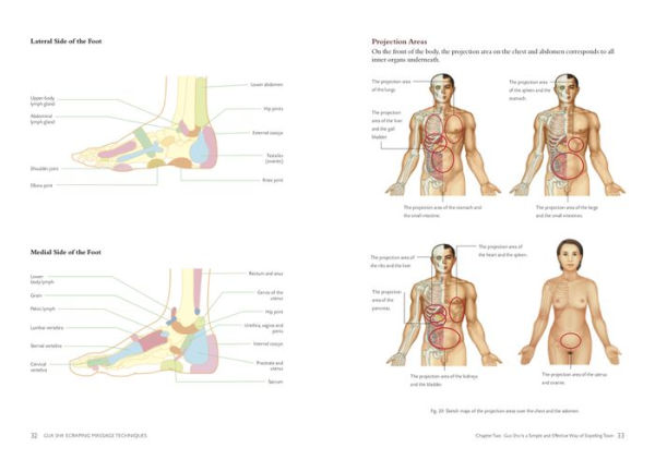 Gua Sha Scraping Massage Techniques: A Natural Way of Prevention and Treatment through Traditional Chinese Medicine