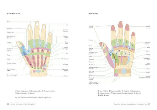 Gua Sha Scraping Massage Techniques: A Natural Way of Prevention and Treatment through Traditional Chinese Medicine