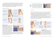 Alternative view 3 of Illustrated Moxibustion Therapy: A Natural Way of Prevention and Treatment through Traditional Chinese Medicine