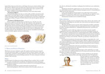 Alternative view 5 of Illustrated Moxibustion Therapy: A Natural Way of Prevention and Treatment through Traditional Chinese Medicine