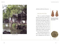 Alternative view 5 of Chinese Tea