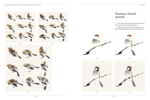 The Beginner's Guide to Chinese Painting: Birds and Insects